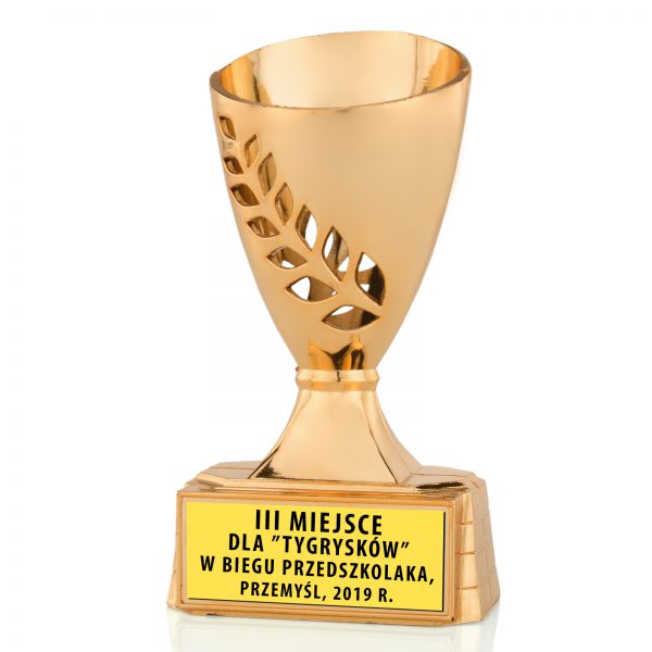 Puchar sportowy z grawerem dla dzieci na Zawodu Biegowe